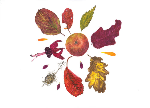 Autumn Leaves and Apple Print